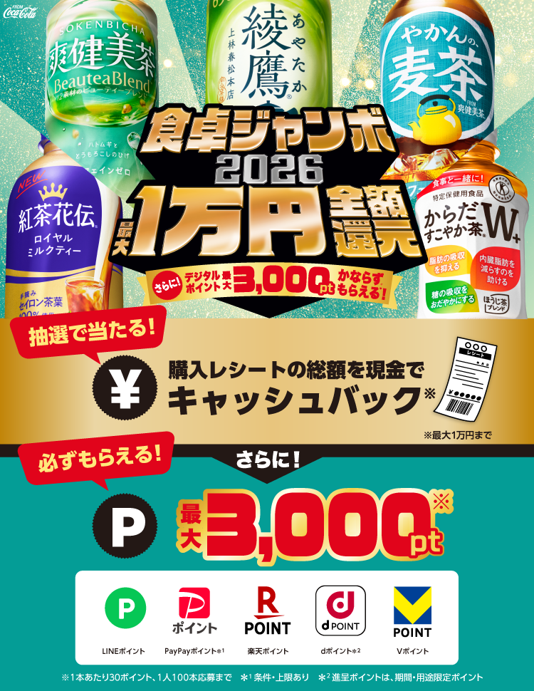 抽選で最大1万円全額還元!さらに必ず最大3,000ptもらえる! 抽選で最大1万円全額還元!さらに必ず最大3,000ptもらえる!